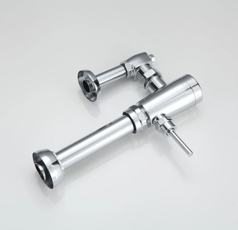 Flushometer Toilet Flushometer Toilet