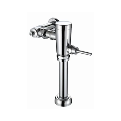 Exposed Water Closet Toalettvann Saving Flushometer for Wall Hung
